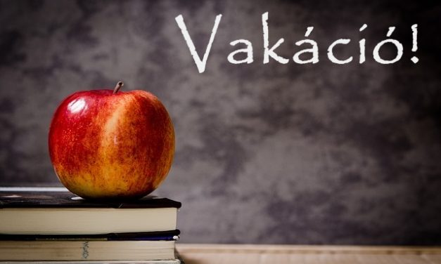 Felhívás!
