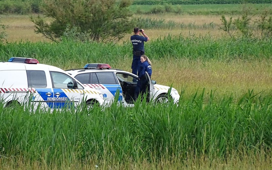 A keresett medvét már Tömörkény határában látták