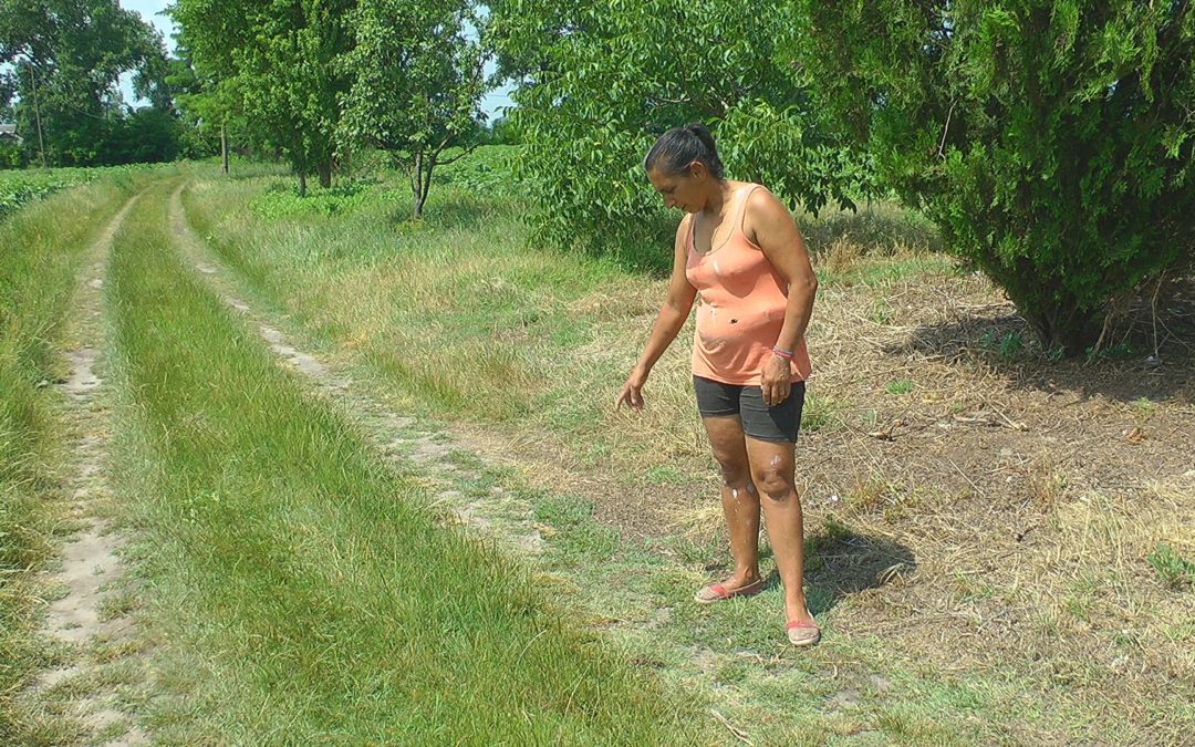 MEDVE Tiszaalpáron