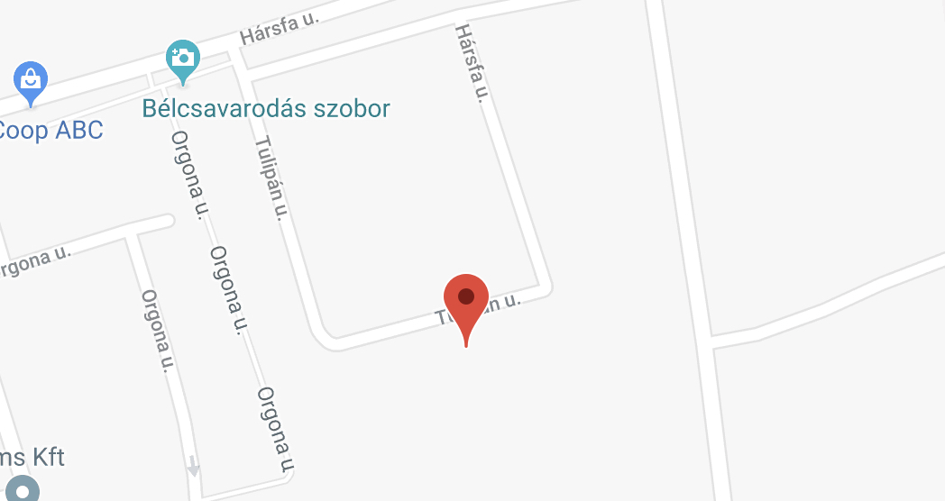 Csongrád, Tulipán u. 17. 4/11. szám alatti megüresedett és helyreállításra szoruló szociális bérlakás bérbeadása