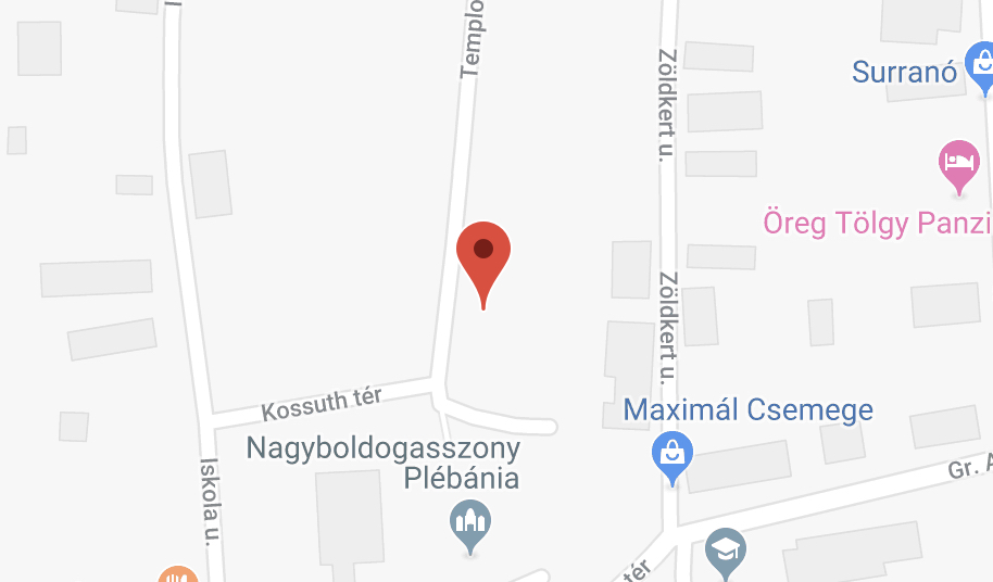 Részletes hirdetmény a Csongrád, Templom utca 1. 1/8. szám alatti költségelvű bérlakás bérbeadására