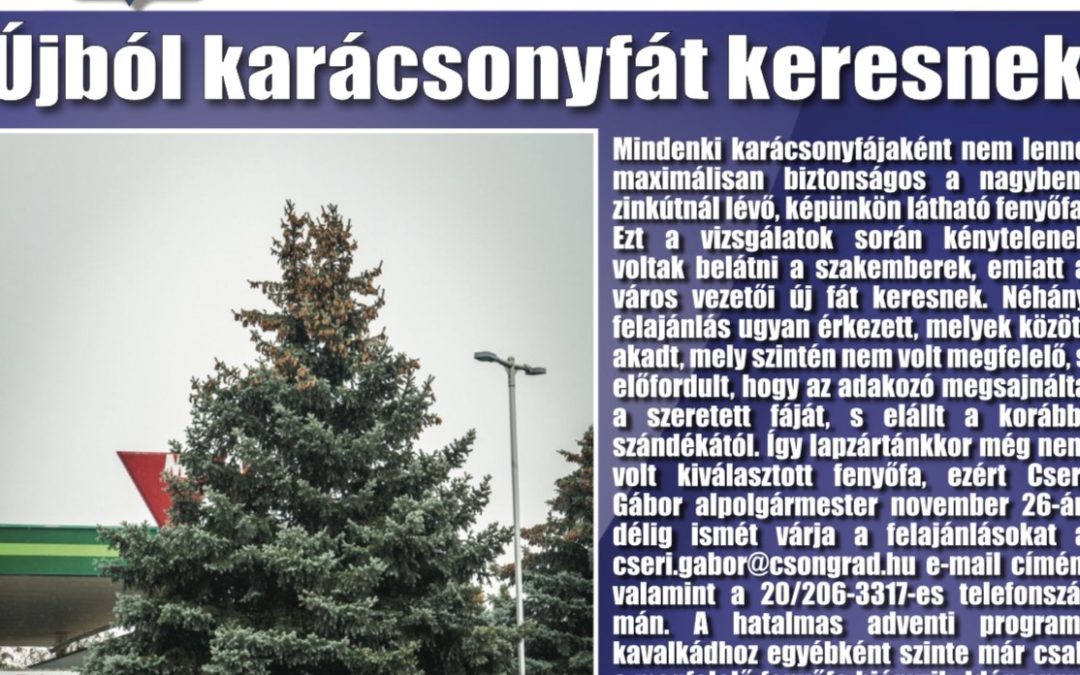 Megtekinthető a Csongrádi Hírek legújabb, november 23-án megjelenő (192.) száma