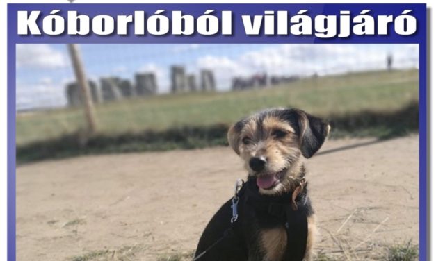 Megtekinthető a Csongrádi Hírek legújabb, február 15-én megjelenő (198.) száma