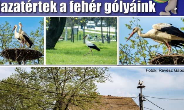 Megtekinthető a Csongrádi Hírek legújabb, április 12-én megjelenő (202.) száma