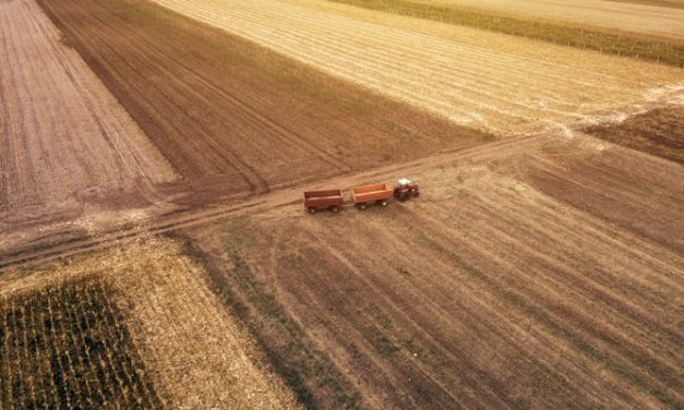 Logisztika a Dél- Alföldön