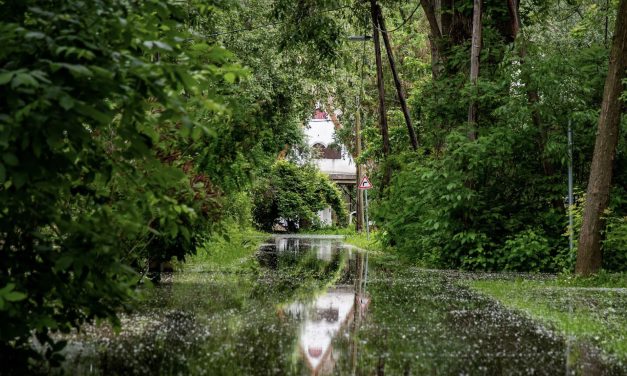 Szakaszosan felfüggesztésre kerül az ivóvíz szolgáltatás a Körös-toroki Üdülőterületen!