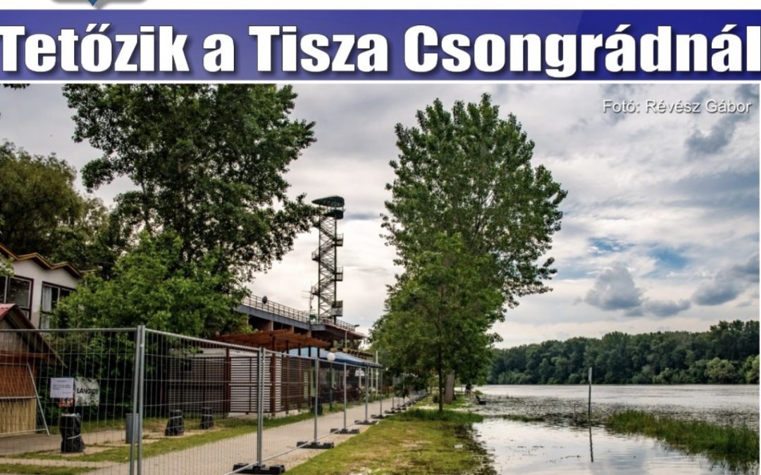 Megtekinthető a Csongrádi Hírek legújabb, június 7-én megjelenő (206.) száma