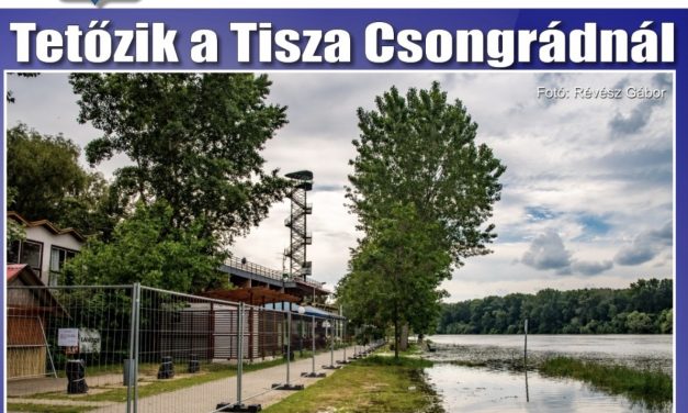 Megtekinthető a Csongrádi Hírek legújabb, június 7-én megjelenő (206.) száma