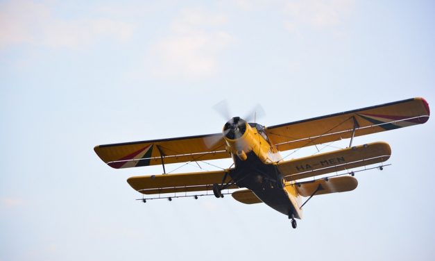 Budapesten és 156 településen permeteznek a héten