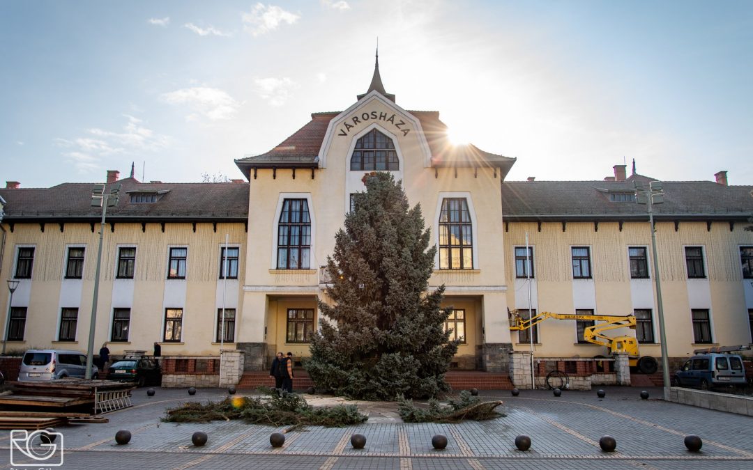 Gyermekétkeztetési térítési díjak megfizetése