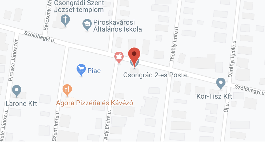 Pályázat a Csongrád, Szőlőhegyi u 19/A szám alatti költségelvű bérlakás bérbeadására