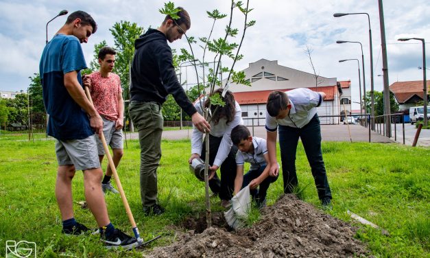 Fát ültettek a nemzeti összetartozás napján