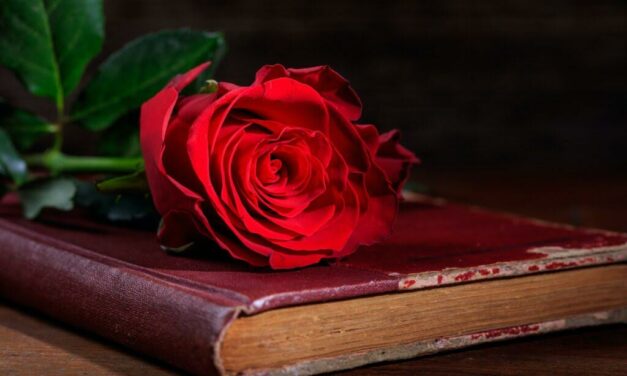 Köszöntjük a pedagógusokat!