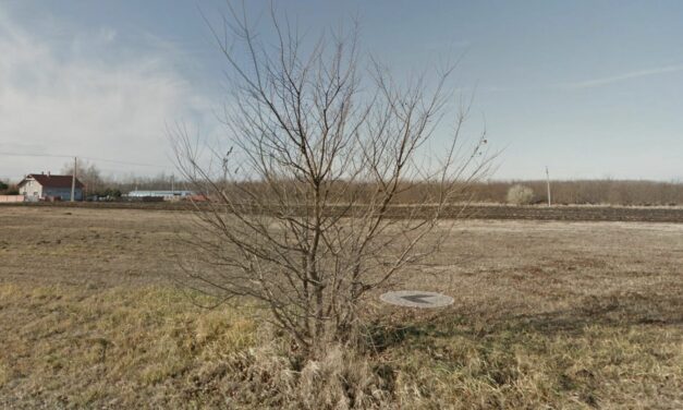 Csongrád Városi Önkormányzat nyílt pályázatot hirdet a Csongrád, Pázmány Péter u. 24. sz. alatti építési telek értékesítésére