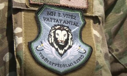 Speciális tartalékos katonai szolgálat