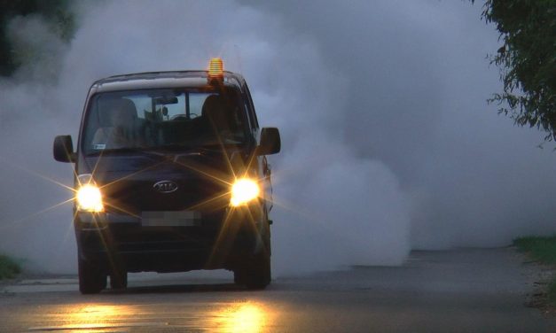 Meleg-ködös földi szúnyoggyérítés az esti órákban