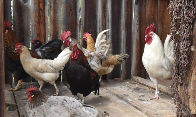 Megfigyelési körzet kiterjesztése – CS/I01/3837-14/2021.