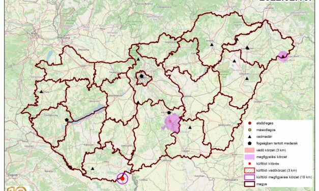 Madárinfluenza betegség miatt elrendelt felügyeleti intézkedések feloldása