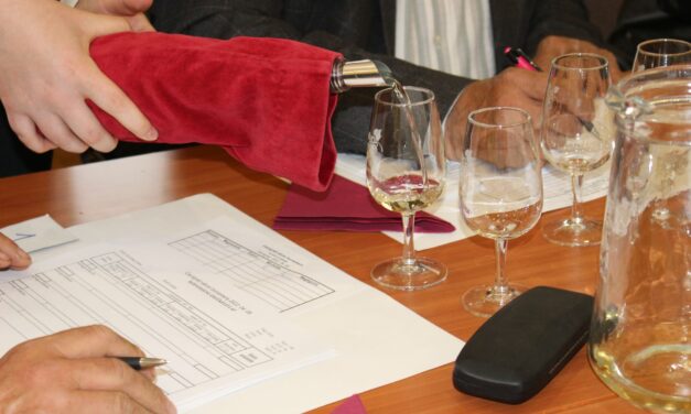 Csongrád Város Bora 2022.