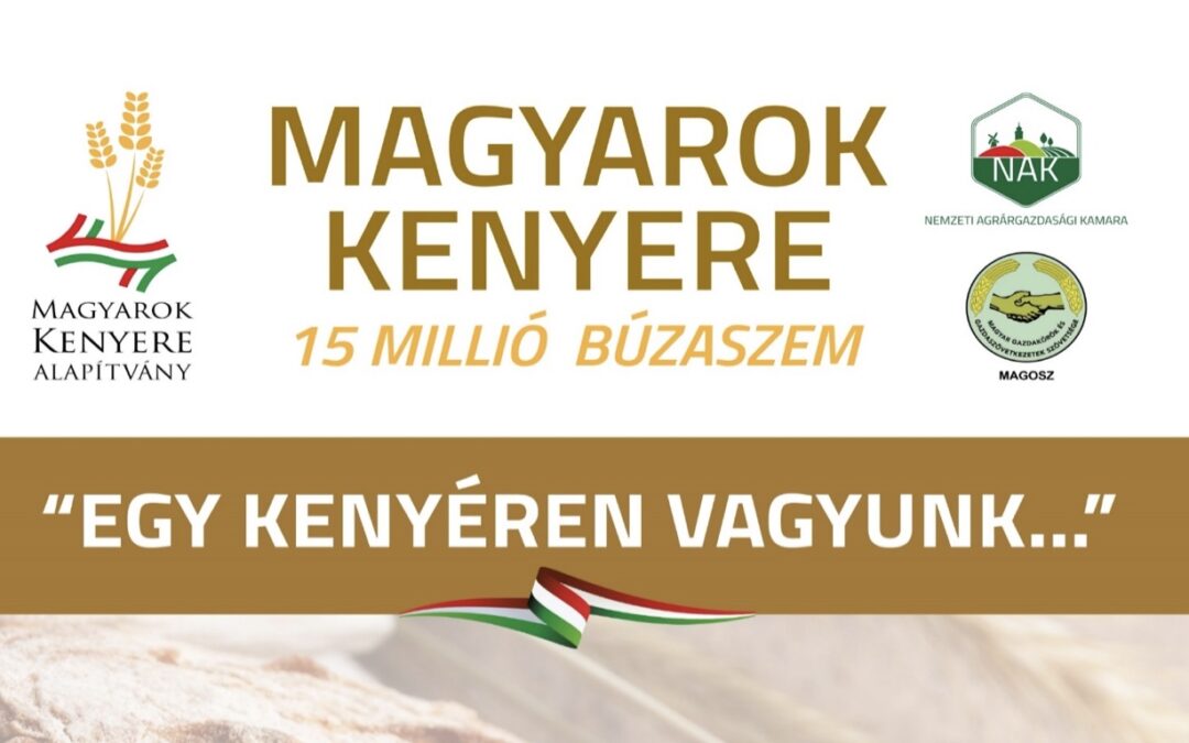 Összefogásból búza, a kenyérből élet – Magyarok Kenyere