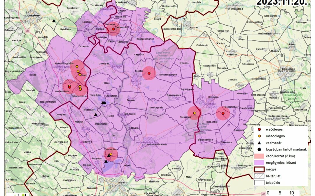 Madárinfluenza járvány miatti megfigyelési körzet elrendelése – Csongrád, Felgyő, Pusztaszer, Tömörkény, Székkutas