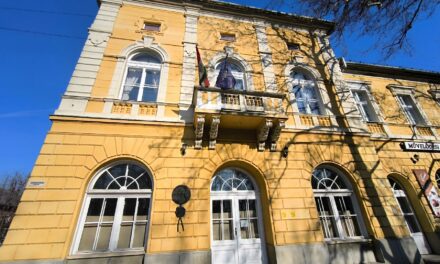 Közművelődési szakember pályázat