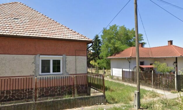 Pályázati hirdetmény!