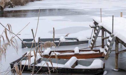 Megtekinthető a Csongrádi Hírek legújabb, január 30-án megjelenő 304. száma