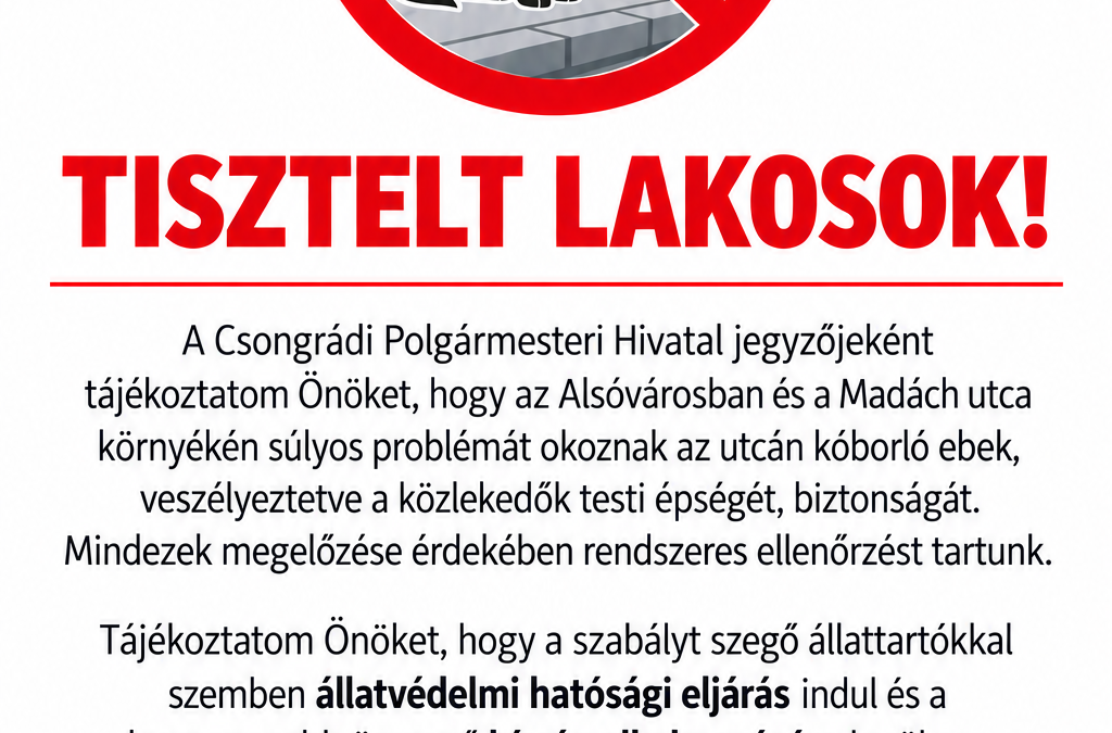 Lakossági felhívás – Utcán kóborló ebek!
