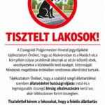 Lakossági felhívás – Utcán kóborló ebek!