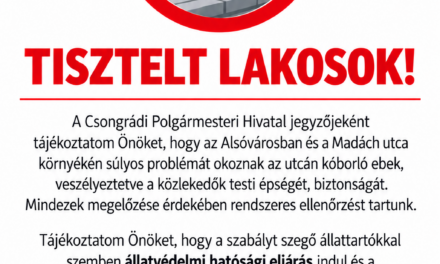 Lakossági felhívás – Utcán kóborló ebek!