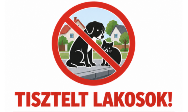 Lakossági felhívás – Utcán kóborló ebek!